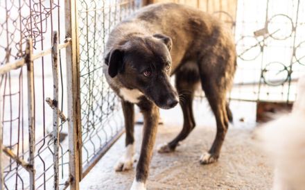 Hier kommt die bezaubernde Venus