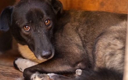 Hier kommt die bezaubernde Venus