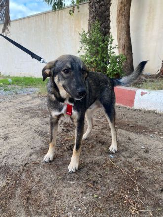 Mokka - Wo ist mein sicherer Hafen ?