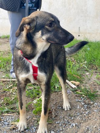 Mokka - Wo ist mein sicherer Hafen ?