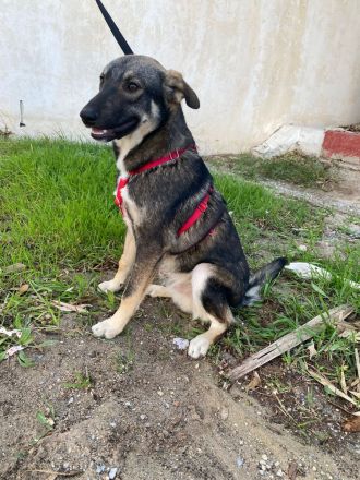 Mokka - Wo ist mein sicherer Hafen ?