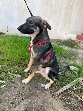 Mokka - Wo ist mein sicherer Hafen ?