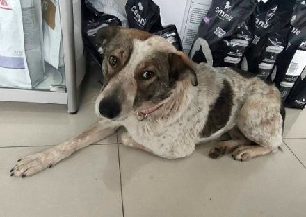 Mati, freundlich und menschenbezogen