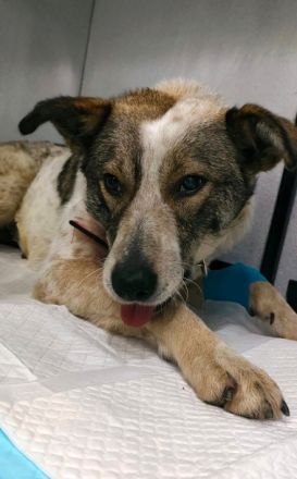 Mati, freundlich und menschenbezogen