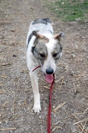 Mati, freundlich und menschenbezogen