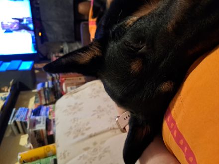 Schweren Herzens abzugeben