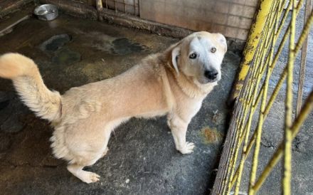 Wer zeigt Boomer, wie sich Liebe wirklich anfühlt?