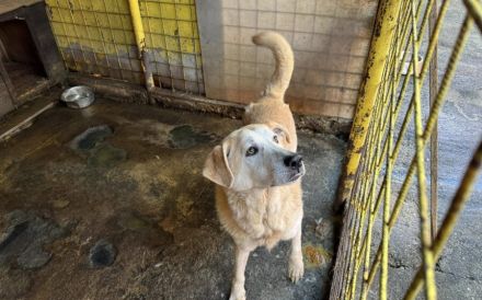 Wer zeigt Boomer, wie sich Liebe wirklich anfühlt?