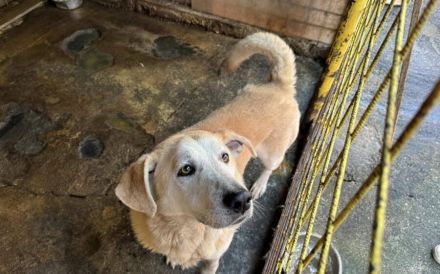 Wer zeigt Boomer, wie sich Liebe wirklich anfühlt?