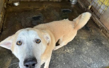 Wer zeigt Boomer, wie sich Liebe wirklich anfühlt?