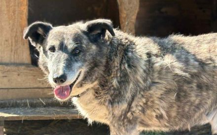 Für Karlchen muss das Glück einen zweiten Anlauf nehmen!