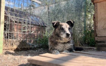 Für Karlchen muss das Glück einen zweiten Anlauf nehmen!