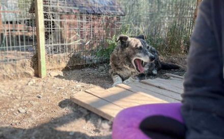 Für Karlchen muss das Glück einen zweiten Anlauf nehmen!