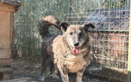Für Karlchen muss das Glück einen zweiten Anlauf nehmen!
