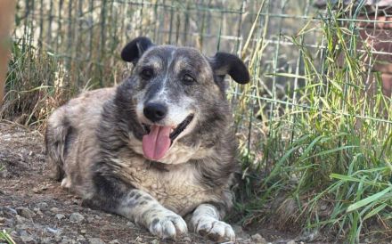 Für Karlchen muss das Glück einen zweiten Anlauf nehmen!
