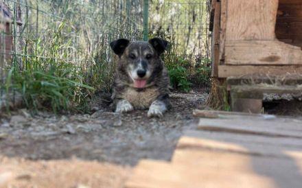 Für Karlchen muss das Glück einen zweiten Anlauf nehmen!