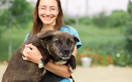 ruhige Vesta sucht liebevolles Zuhause