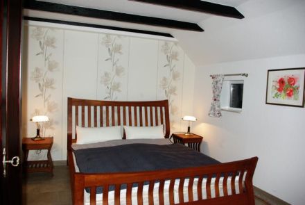 Ferienhaus Friesenaue in Ostfriesland, wo Hunde gerne Urlaub machen, Listenhunde sind willkommen