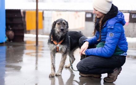 Wo Mika ist, ist das Herz zuhause.