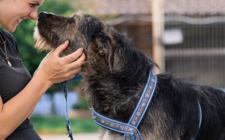 Wo Mika ist, ist das Herz zuhause.