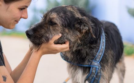 Wo Mika ist, ist das Herz zuhause.