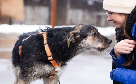 Wo Mika ist, ist das Herz zuhause.