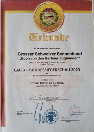 Großer Schweizer Sennenhund Deckrüde EGON "von den Berliner Zughunden"