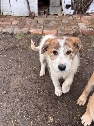 Zera - unsere kleine Kuschelprinzessin💖