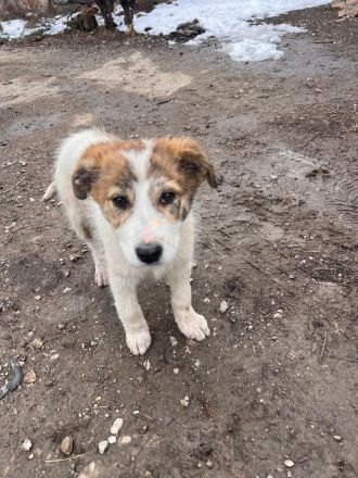 Zera - unsere kleine Kuschelprinzessin💖