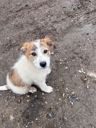 Zera - unsere kleine Kuschelprinzessin💖