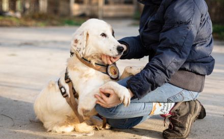 Wer schenkt Gina ein schönes Zuhause?