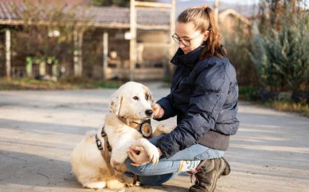 Wer schenkt Gina ein schönes Zuhause?