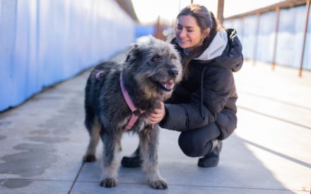 Strubbel-Hündin Rania