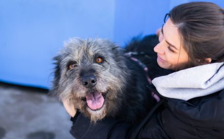 Strubbel-Hündin Rania