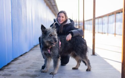 Strubbel-Hündin Rania