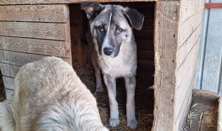 Bezaubert dich der hübsche Zac?