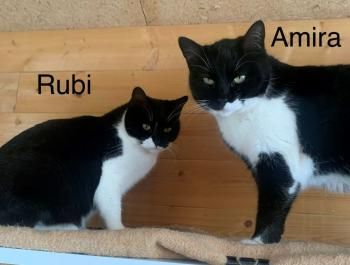 Amira und Rubi