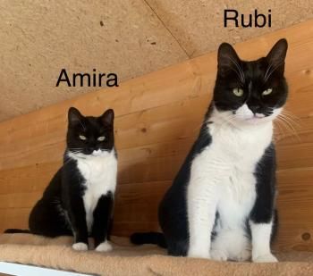 Amira und Rubi