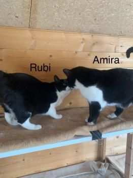 Amira und Rubi