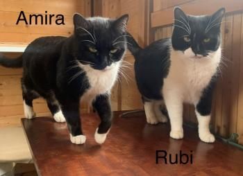Amira und Rubi