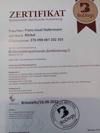 Deutsch Langhaar Welpen