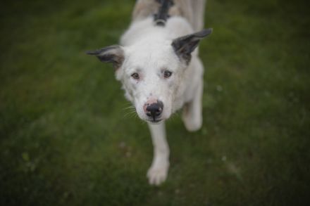 Frohnatur Atlas wartet auf dich!
