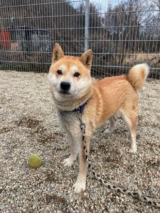 Nobuko - sozial, freundlich und ein bisschen Drama Queen