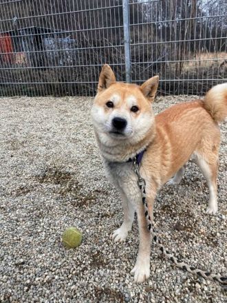 Nobuko - sozial, freundlich und ein bisschen Drama Queen