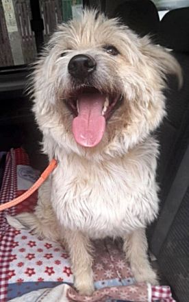 Tedy, lieb und freundlich