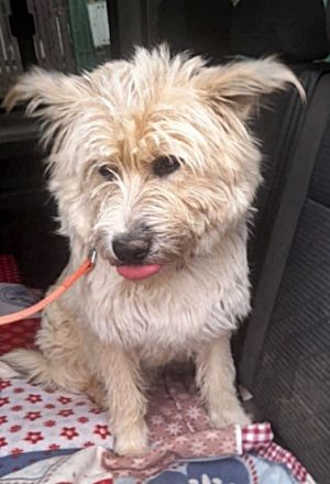 Tedy, lieb und freundlich