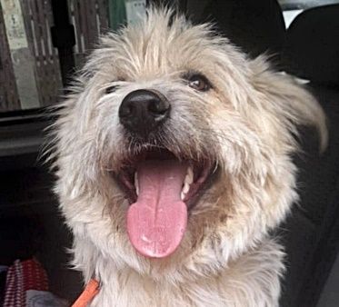 Tedy, lieb und freundlich