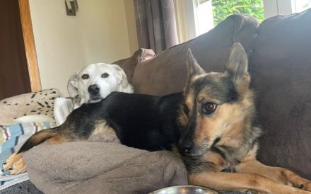 Schenkst du Eva dein Herz?