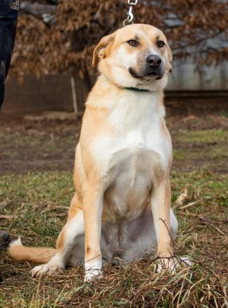 Timida, hübsches Mädel möchte einen Neuanfang starten