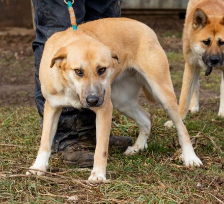 Timida, hübsches Mädel möchte einen Neuanfang starten